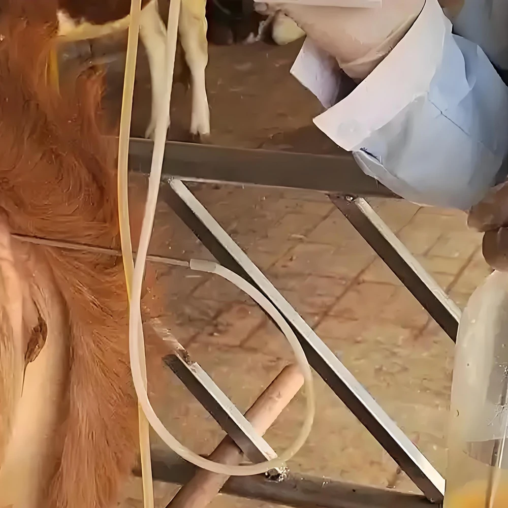 Equipo veterinario portátil de plástico para lavado uterino de 250 ml para higiene y examen de animales de granja, requiere preparar tuberías por uno mismo.
