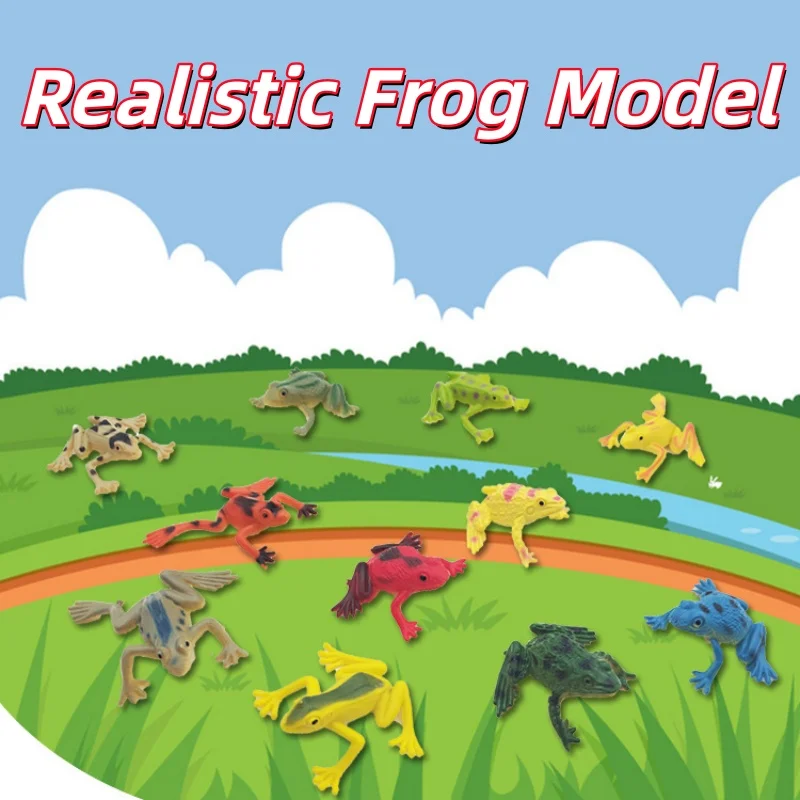 

Real 12Pcs Realistic Simulation Frog Model Amphibian Figurines Biology Science Education Party Prank Home Decor Gifts for Adults