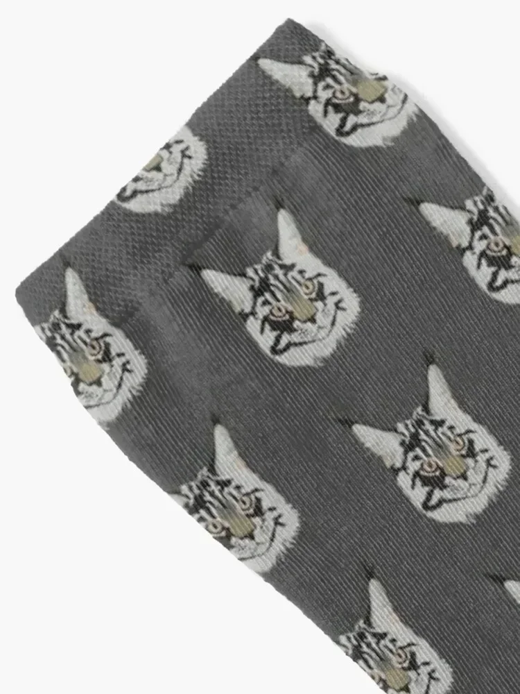 Denzel the Maine Coon Cat Socks cotton gift Argentina fashionable Socks Men's Women's