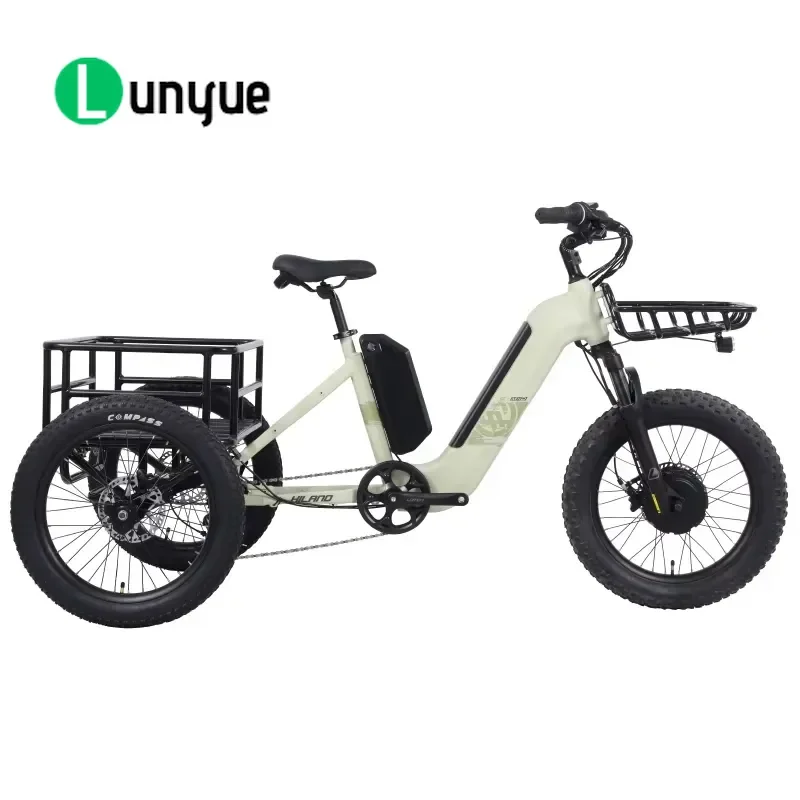 500W Motor 20 Inch Fat Tire Electric Tricycle Dual Battery 3 Wheel E Trike Pedal Assist Cargo Bike for Adult Freight Delivery