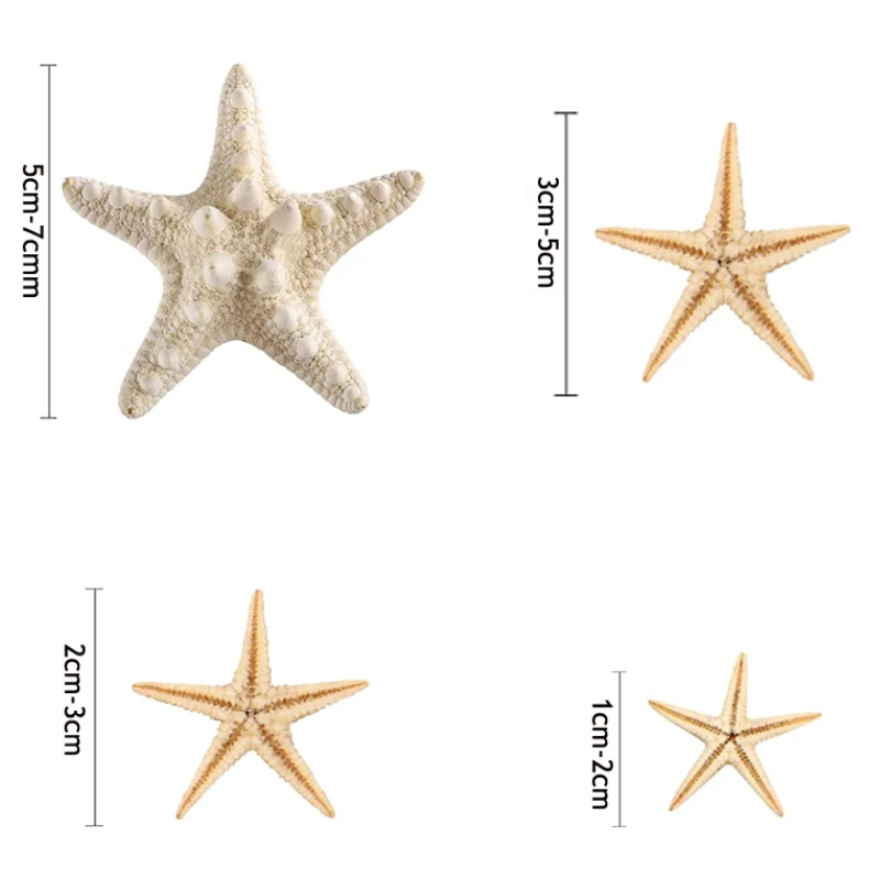 Caliente nuevo Concha de estrella de mar Natural artesanía de playa estrellas de mar naturales DIY decoración de boda en la playa manualidades