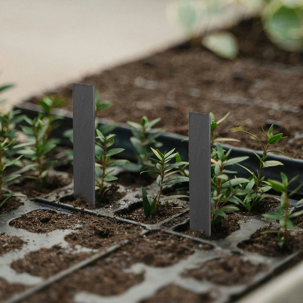 

6 Pcs Plant Label Garden Labels for Plants Markers Flowerpot Insert Tags Flowers Stake Name Stakes