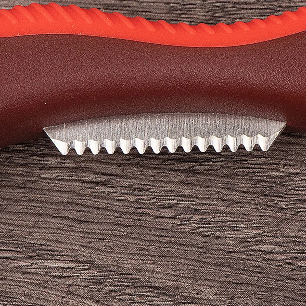 

TUPI - Effortless Chestnut clip, Scissors Shell Remover for Chestnut Hazelnut, Easy Use Nut Shell Remover Scissors for Chestnut