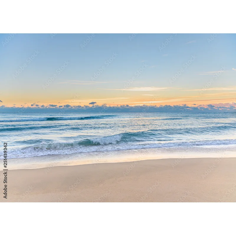 ZHISUXI Tropical Sea Beach Palms Tree Photography Background Natural Scenic Photo fondali Photocall Photo Studio muslim12