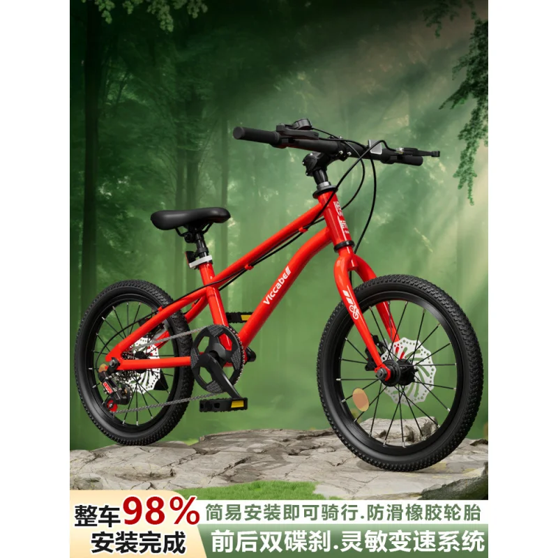 Bike Bicycle Studen…