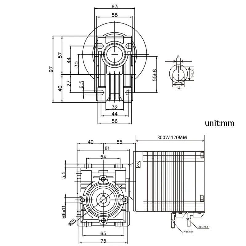 48V 300W brushless DC Motor RV30 Worm Gear Reducer Motor 0.95 N.M Self Locking Small DC Reducer Motor