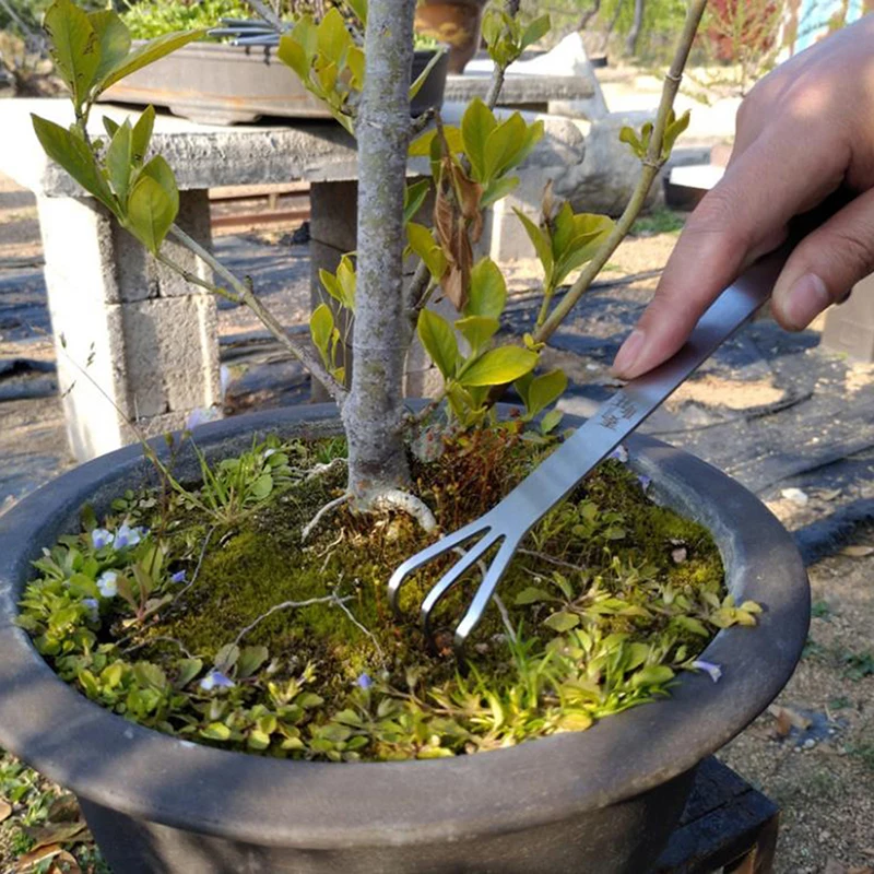 Sıcak Fırsat Paslanmaz Çelik K - Bonsai Garden For Sale incelemesi ve fiyatı
