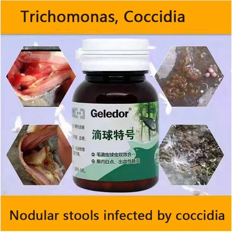 Trichomonas pigeon coccidia two-in-one infection nodular stool digestive disorders 100 tablets