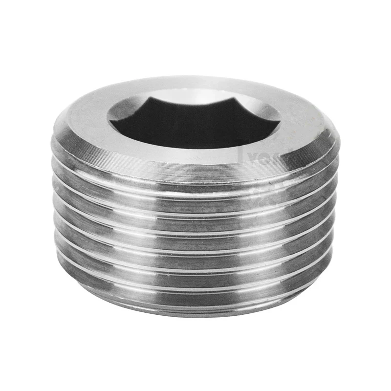 BSPP Male Thread 1/8 1/4 3/8 1" Female Blocking 304 Stainless Steel Hex Socket End Cap Inner Hexagon Plug Oil Water Pipe Fitting