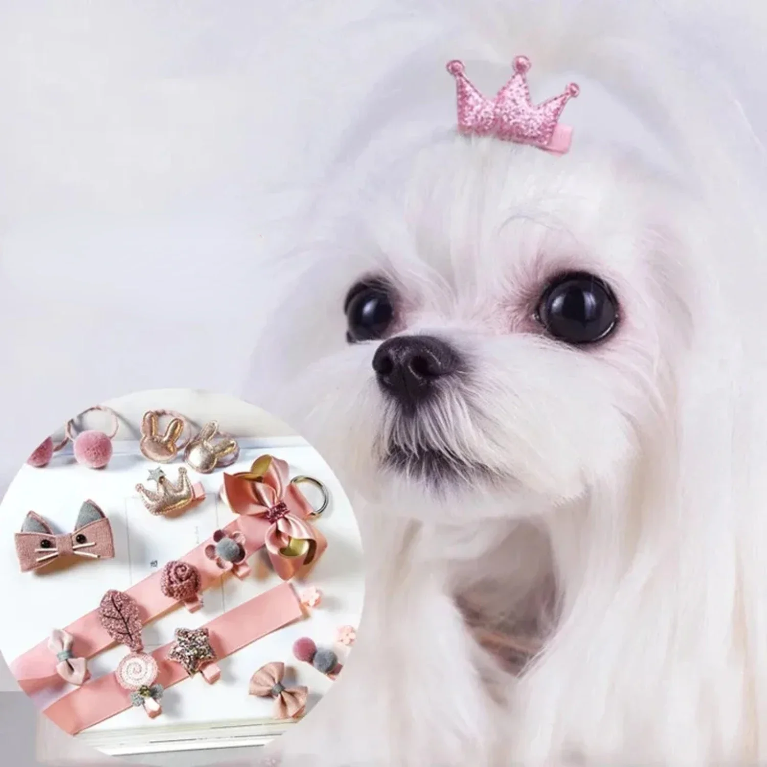 

Make your small cats and dogs shine with beautiful, distinctive, and enchanting small dog hairpin bows - perfect accessories for