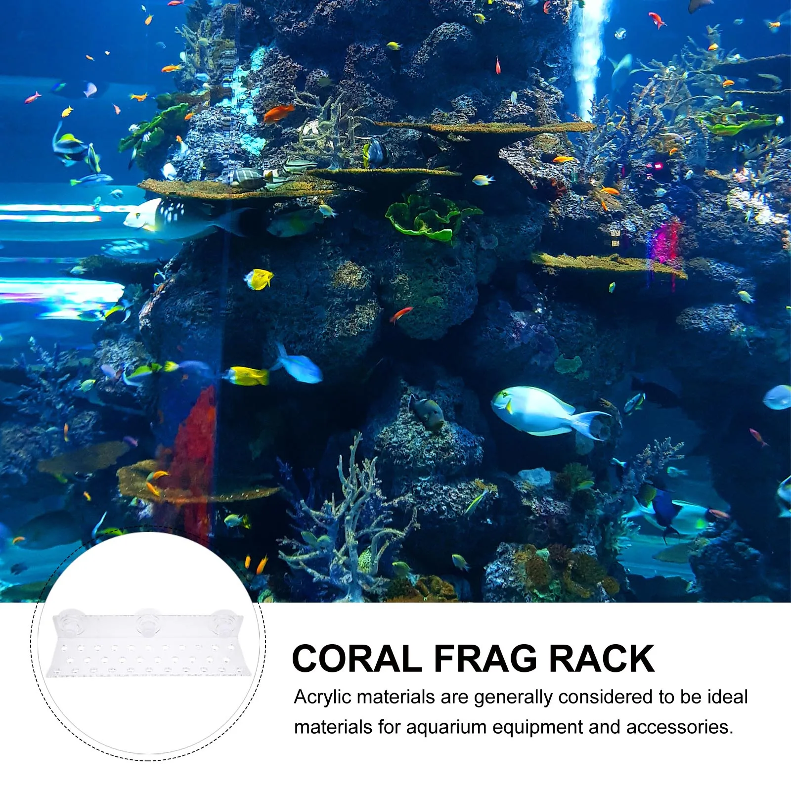 

32Holes For Acrylic Base Aquarium Coral Support Fish Tank Supplies Rack For Tank Reef Rack Acrylic Coral Bracket