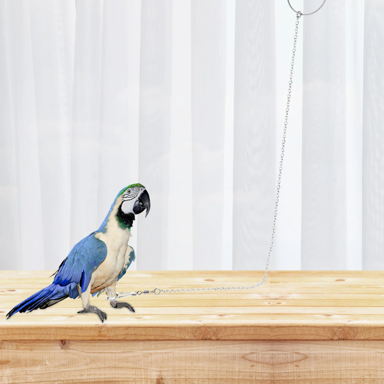 

Stainless Steel Rust Resistant Durable Parrot Flying Harness Leash Training Accessory Lightweight Portable Rope Foot Traction