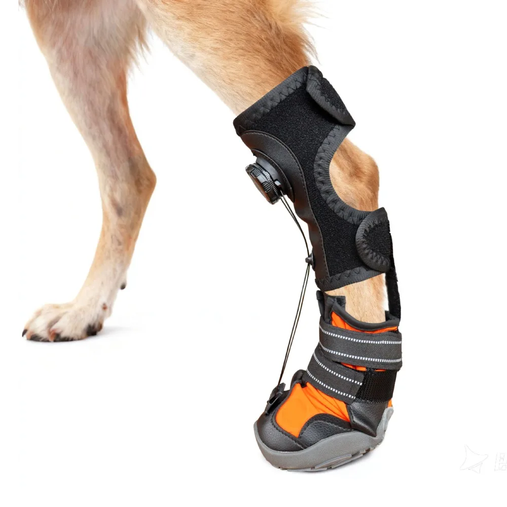 Comfortable Anti Dirt Corrective Dog Shoes Anti Drop Wear-Resistant Paw Protectors Adjustable Breathable Dog Footwear Outdoor