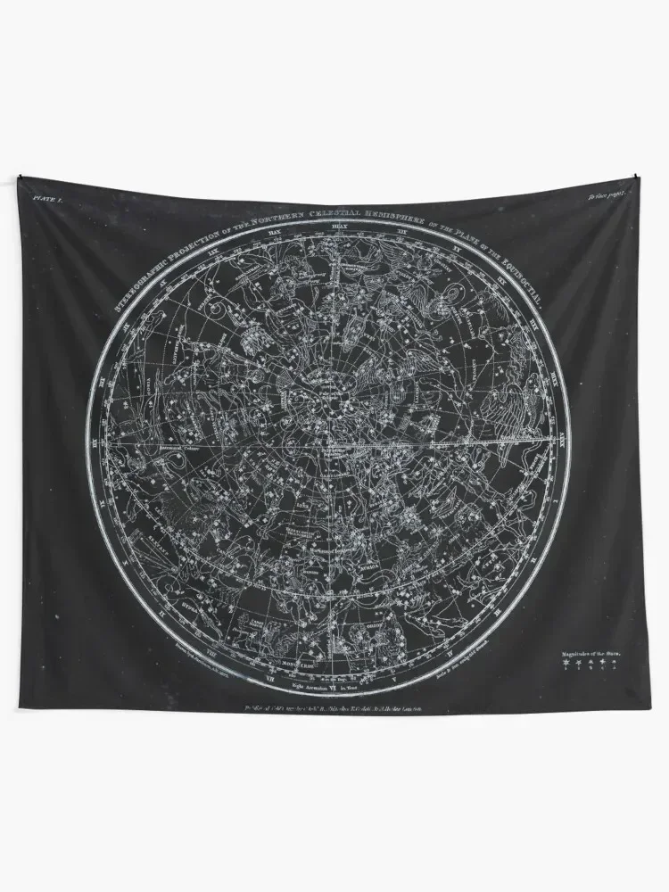 Constellations of the Northern Hemisphere | Pale Blue On Black Tapestry Cute Room Things Decoration Wall For Bedroom Tapestry