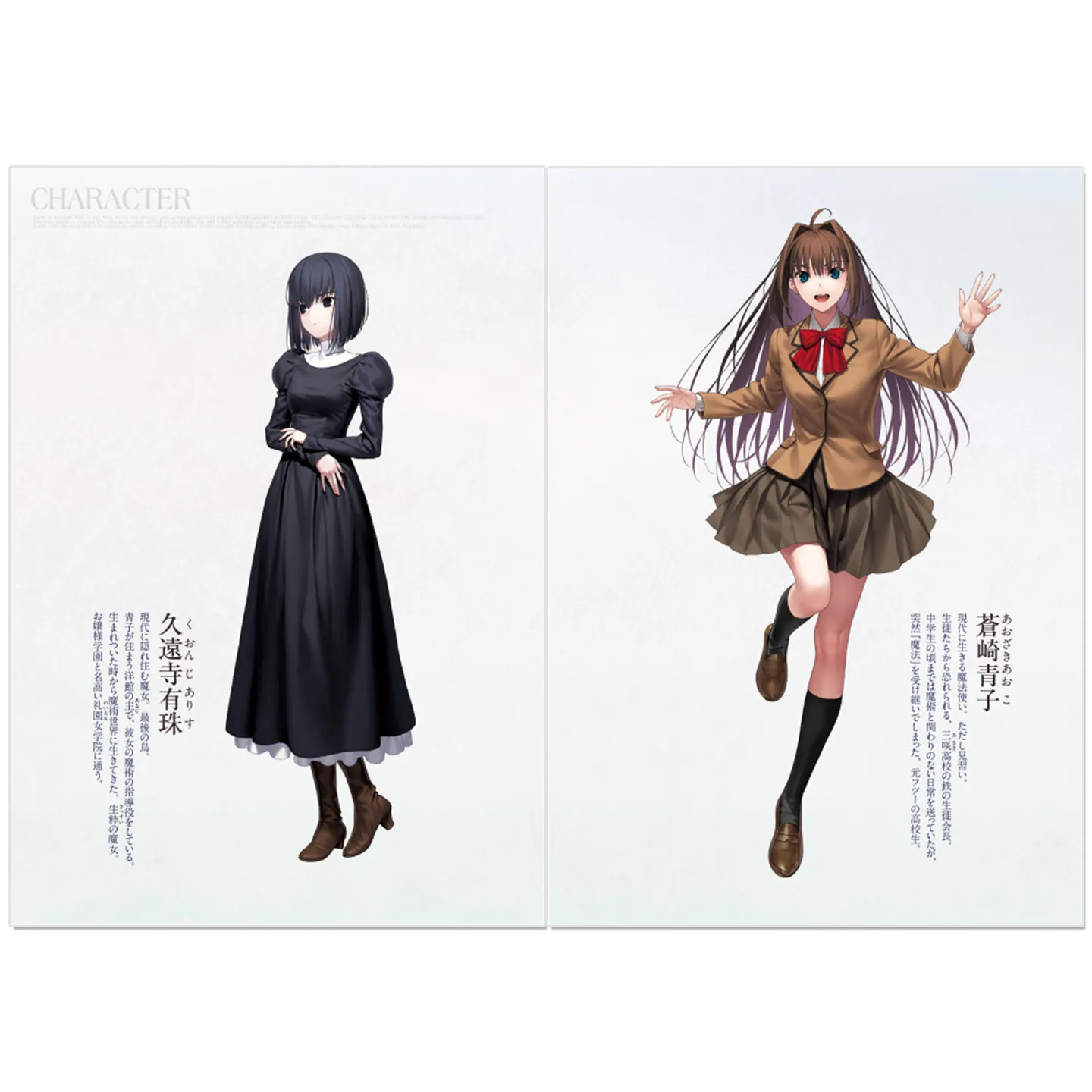 Mahoutsukai No Yoru Witch on The Holy Night Novel Vol 1 Japanese Nasu Kinoko Fantasy