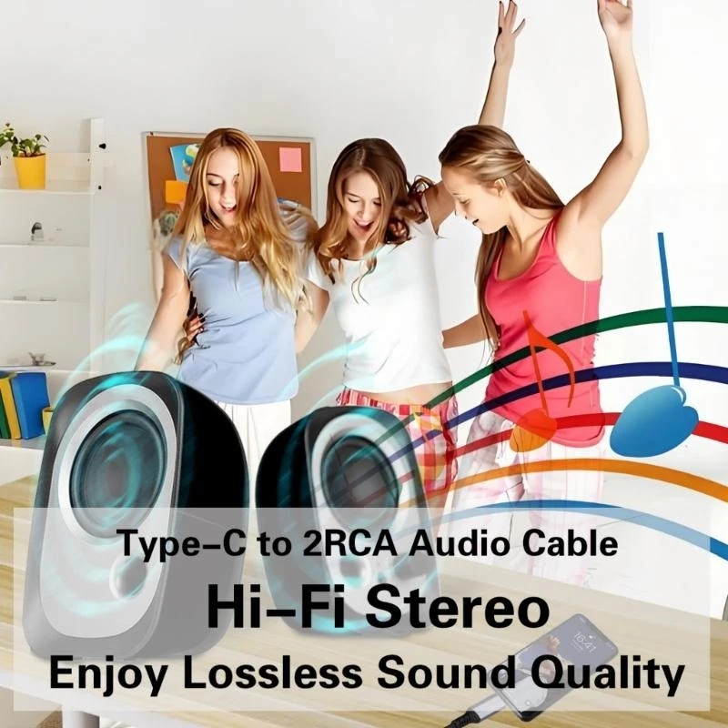 

Type C to 2RCA Male Sound Cable USB C to 2RCA for HiFi Sound Systems for Phone 15 best sale