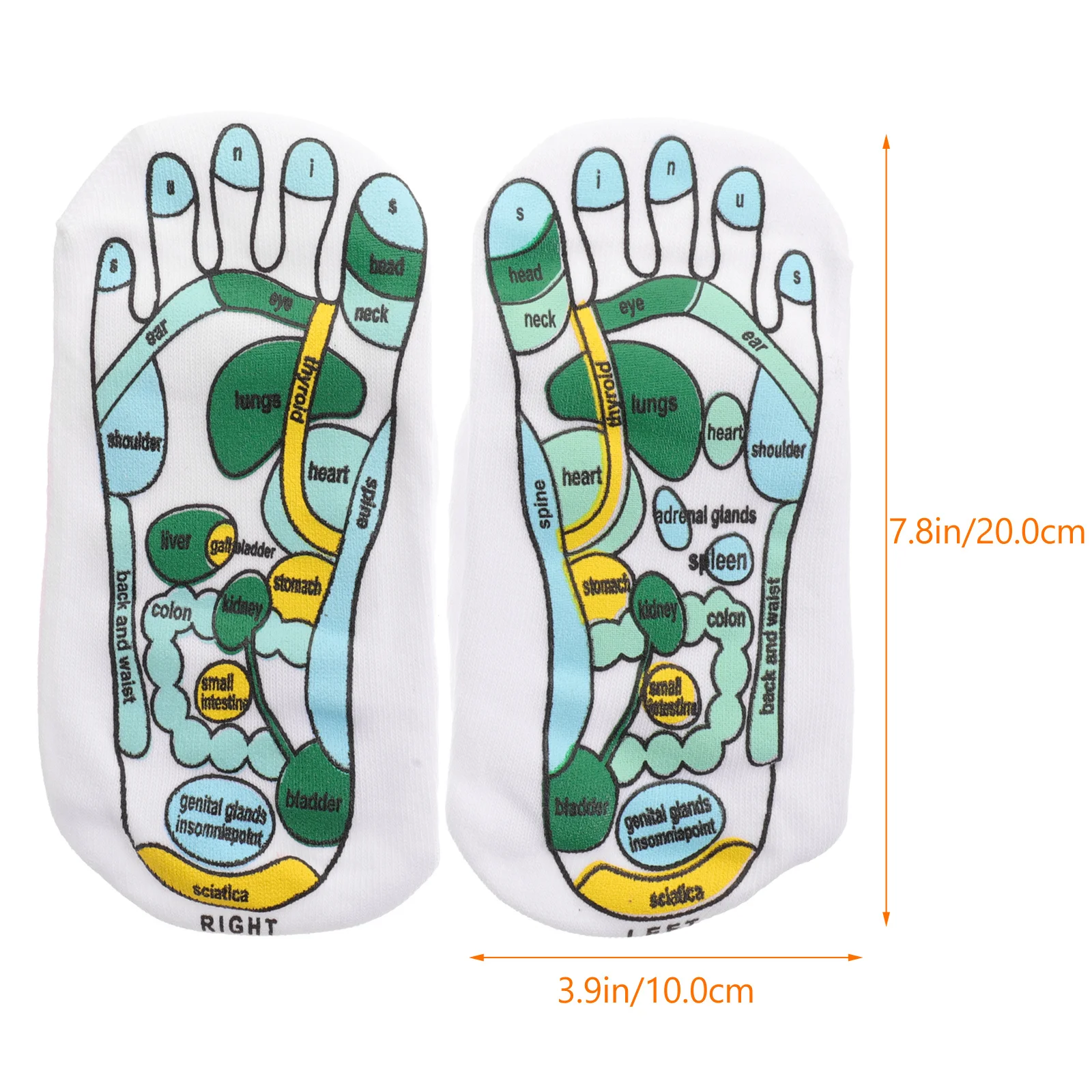 

2 пары носков для акупрессуры, эластичные массажные носки для рефлексологии ног для начинающих, дышащие, удобные, износостойкие