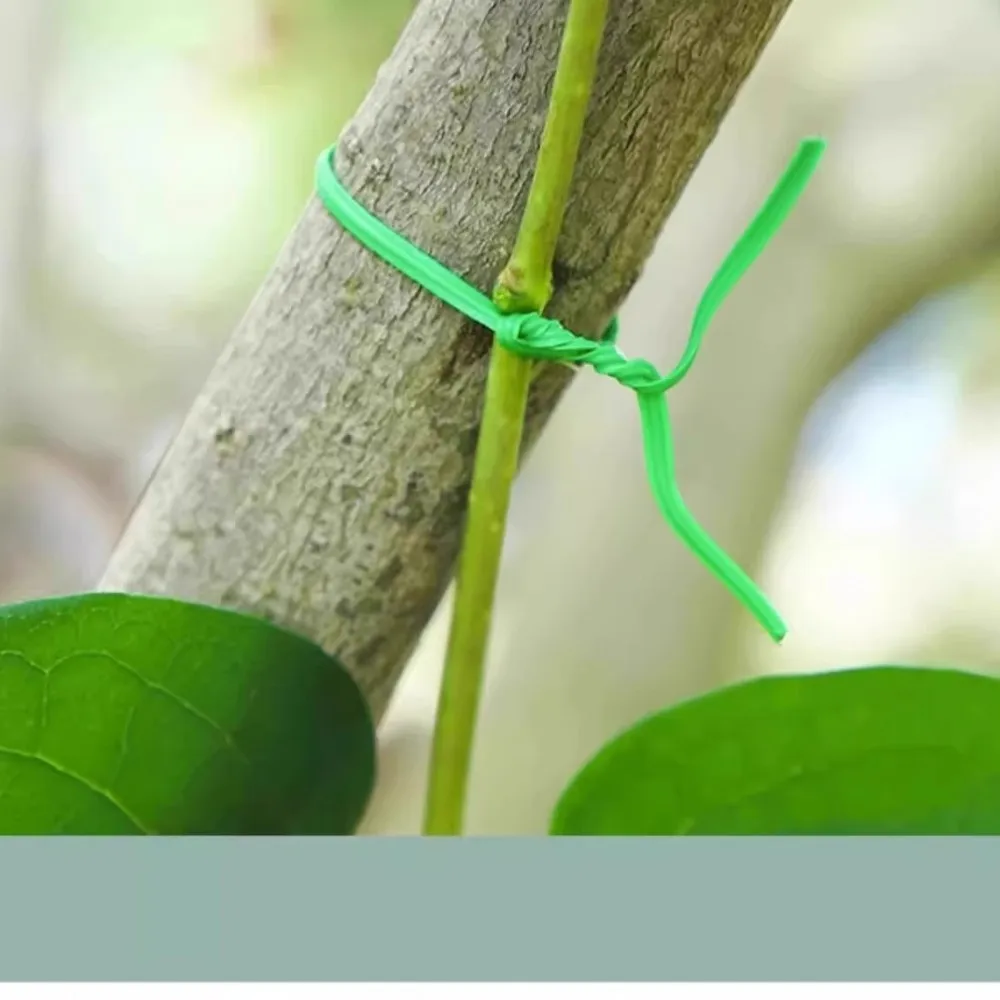 Garden Twist Tie PVC Coated Wire Flexible Plant Support Cable Durable Climbing Vine Fixing Tool For Home Horticulture Floral
