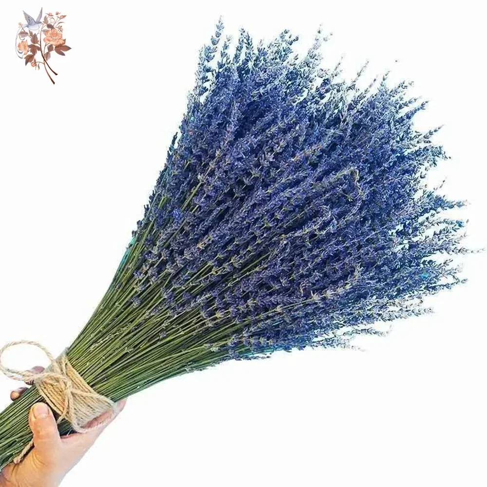 Buket bunga Lavender alami 100g, dekorasi pesta pernikahan awet kering bunga Lavender DIY hadiah Valentine