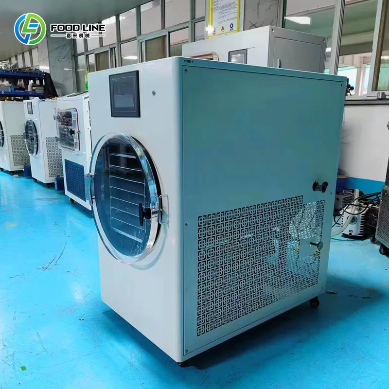Portable Mini Freeze Dryer Machine Household Use Lightweight Food Preservation Drying Device Support Customized