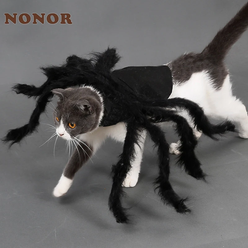 NONOR Halloween ubranka dla psów i kotów Pet Cosplay zabawny kostium pająka kostiumy na Halloween dla małych średnich psów kostiumy dla kotów