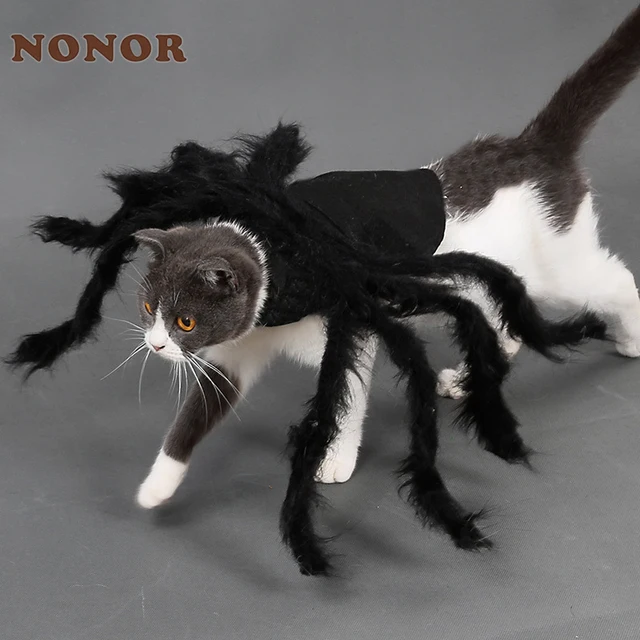 NONOR Halloween ubranka dla psów i kotów Pet Cosplay zabawny kostium pająka kostiumy na Halloween dla małych średnich psów kostiumy dla kotów