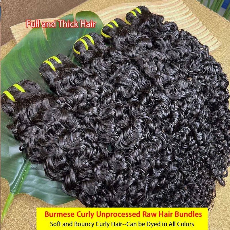 

Необработанные бирманские вьющиеся человеческие волосы, пришитые пучки, полностью толстые, 100% необработанные вьетнамские бирманские вьющиеся необработанные волосы, оригинальные