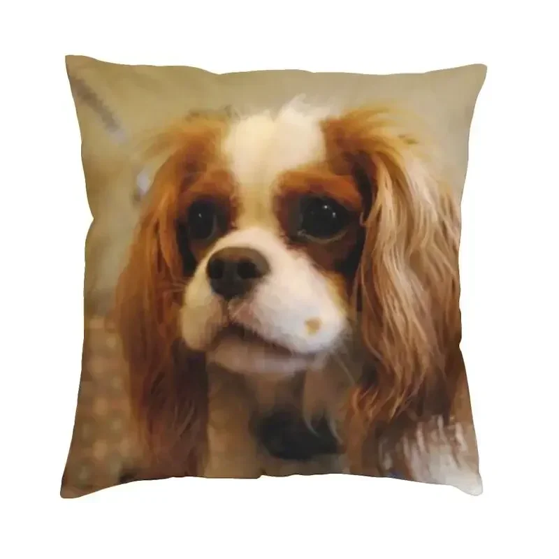 غطاء وسادة بنمط كلب لطيف مع طباعة قطيفة قصيرة لتزيين أريكة غرفة المعيشة وغطاء وسادة #4