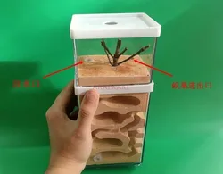 Big Earth Ant Workshop Home Castle Ecological Student Ant Nest Manor Pet Living Ant Queen Box