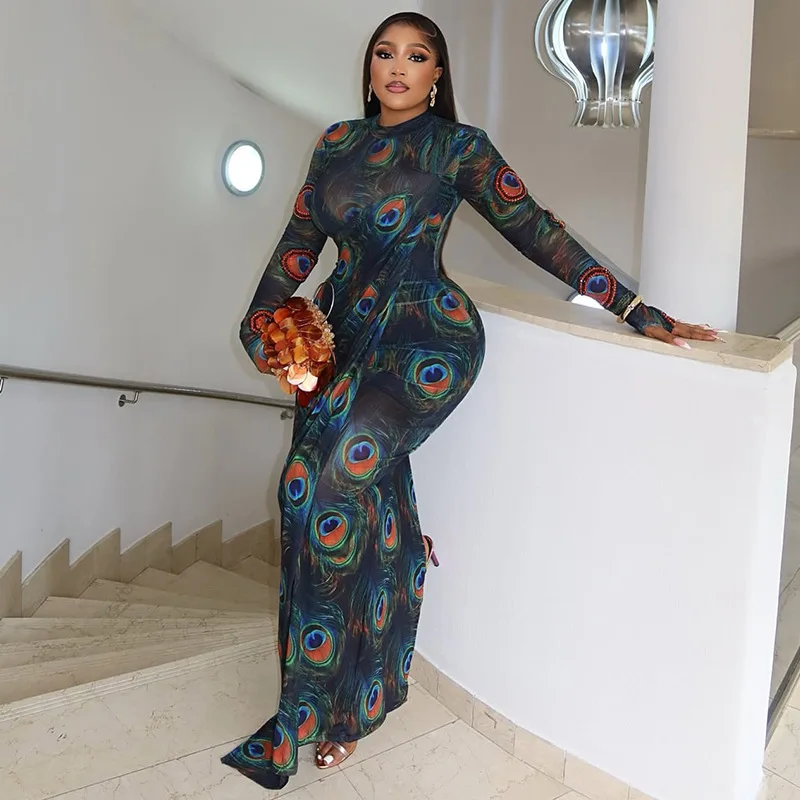 Doorzichtige mesh bedrukte bodycon maxi feestjurk dames coltrui volledige mouw slanke nachtclubwear verjaardagsfeestje lang gewaad