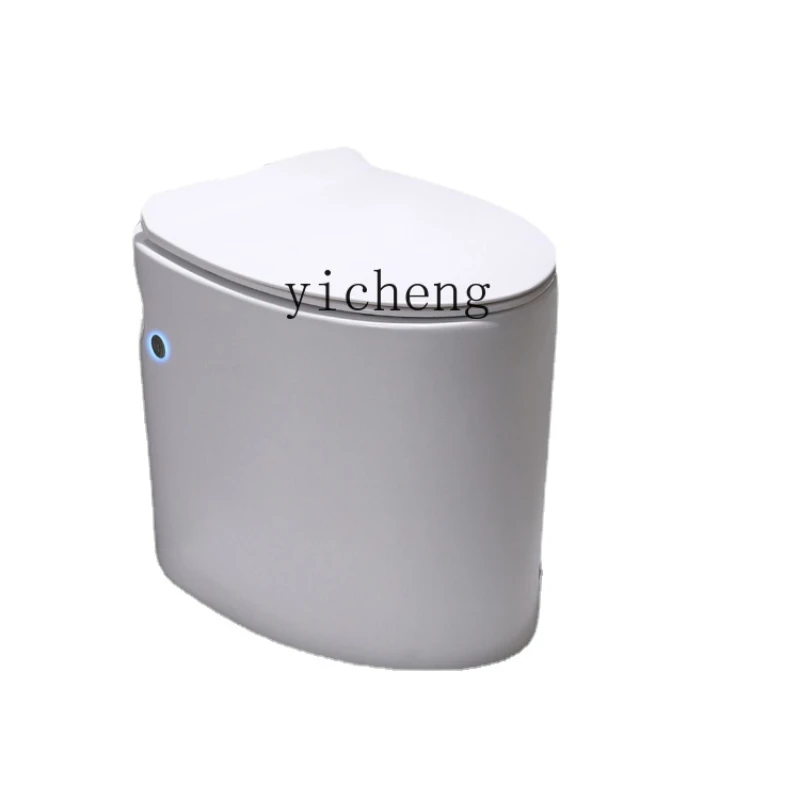 Modern Small Apartment Toilet Household Small Size Toilet Mini without Tank Toilet