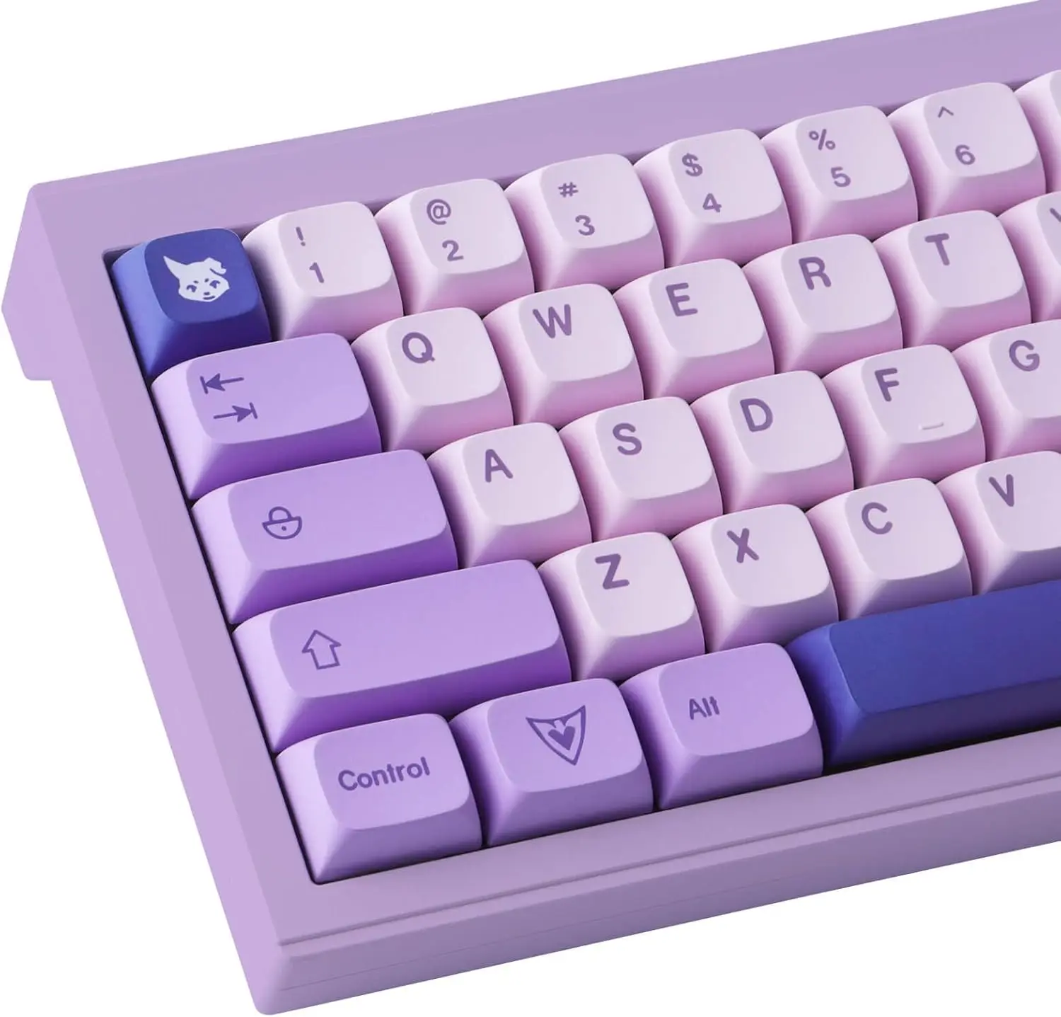 

132 Keycaps Dye-Sublimation Cherry Profile Botanical Keycap for Cherry MX Mechanical Keyboards (Witch Emilia)