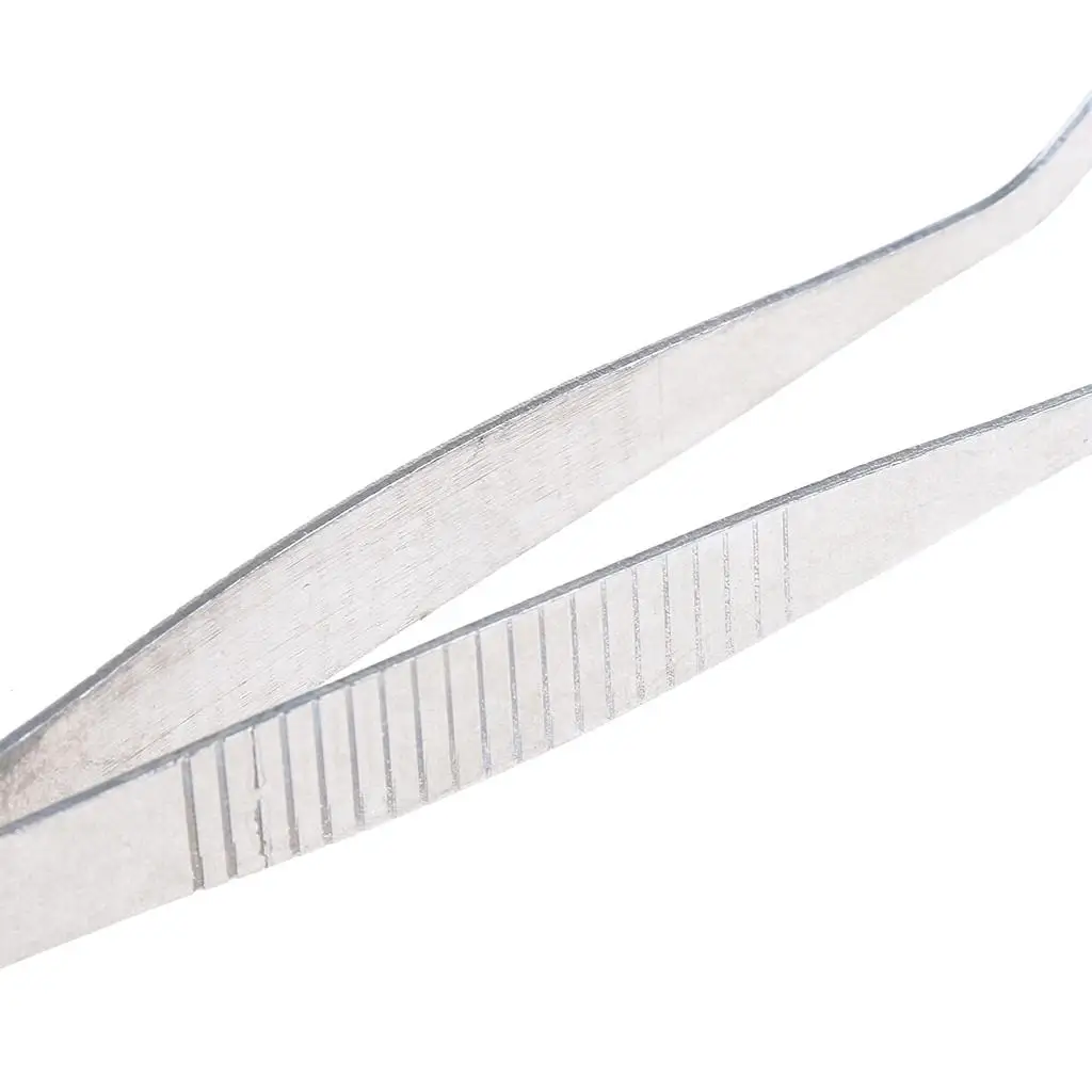 Curved Round Tip Stainless Steel Tweezers 12 cm/ 4.7 inch Lab