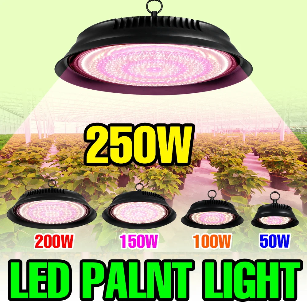 

Светодиодный светильник для растений 250 Вт, полный спектр, для гидропоники, для внутреннего освещения теплиц, овощей и фруктов, с вилкой стандарта США/ЕС
