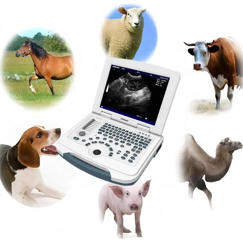 Dawei Mu10 Animal Sonogram Machine Portable Sonoscape Veterinary Ultrasound Best Ultrasound Machine For Dog Breeders