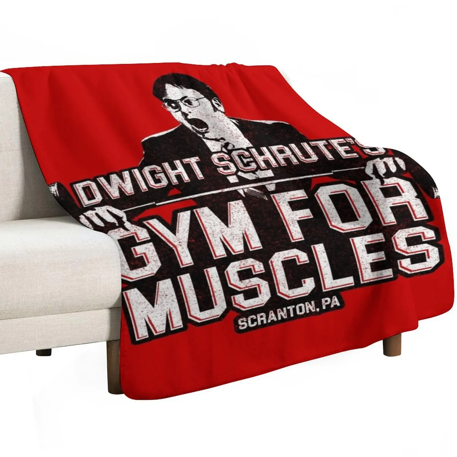

Dwight Schrute's Gym For Muscles Throw Blanket For Baby for sofa Luxury Designer Decorative Sofa Blankets