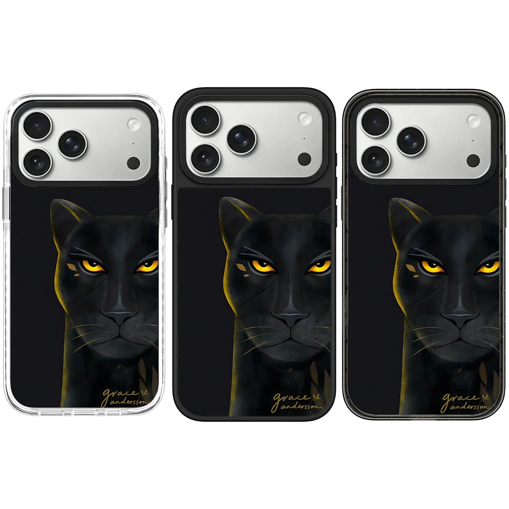 6072115 Acrylic / Mirror Magnetic Case: Compatible with IPhone 17 16 15 14 13 12 Pro Max 17 Air