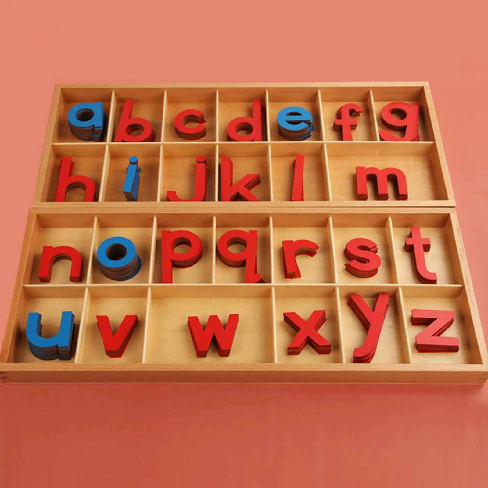 

Movable Alphabet with Box Wooden Alphabet Letters for Consonants Reading