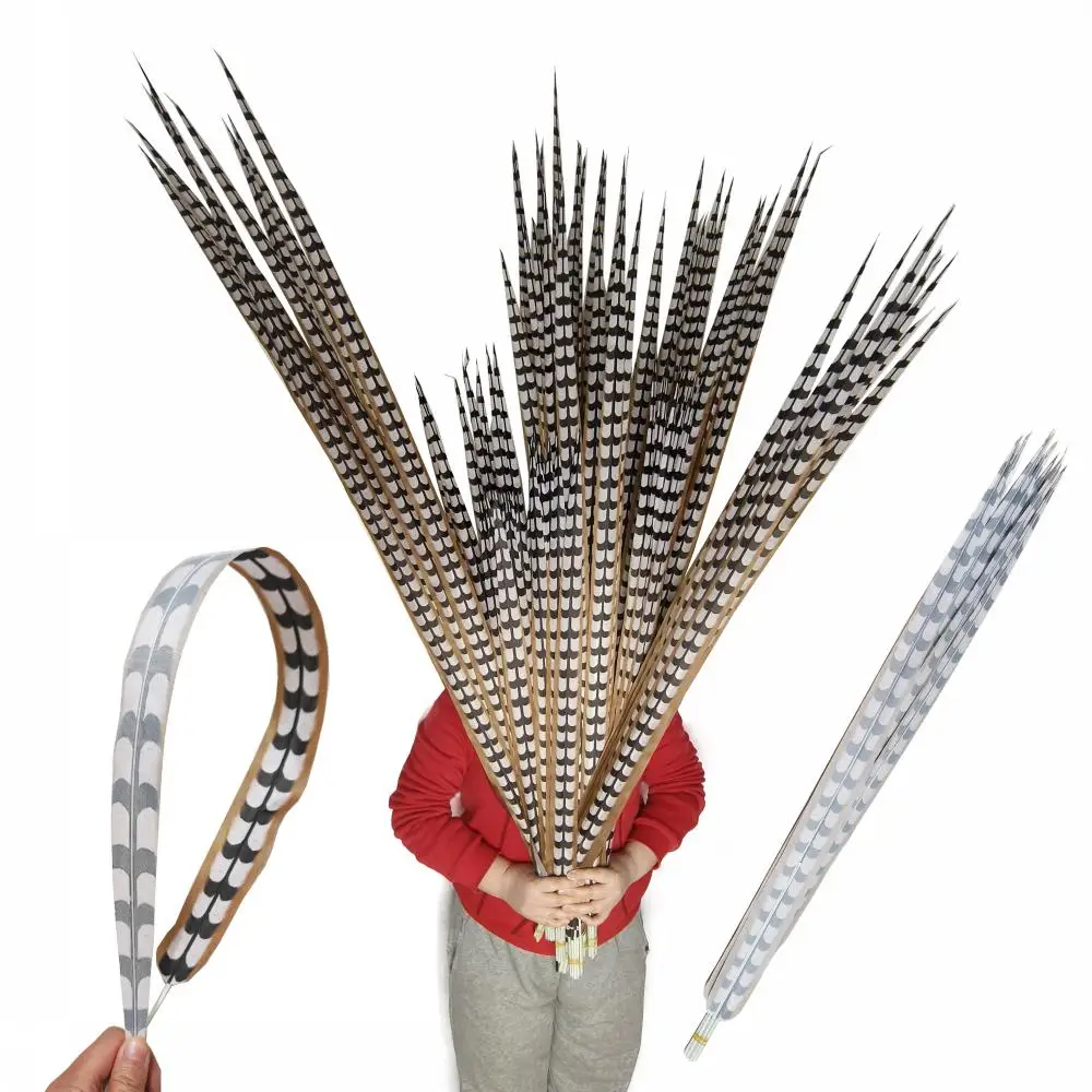 

10 pcs rofessional Grade Artificial Pheasant Feathers - Realistic Costume Props for Stage & Carnival