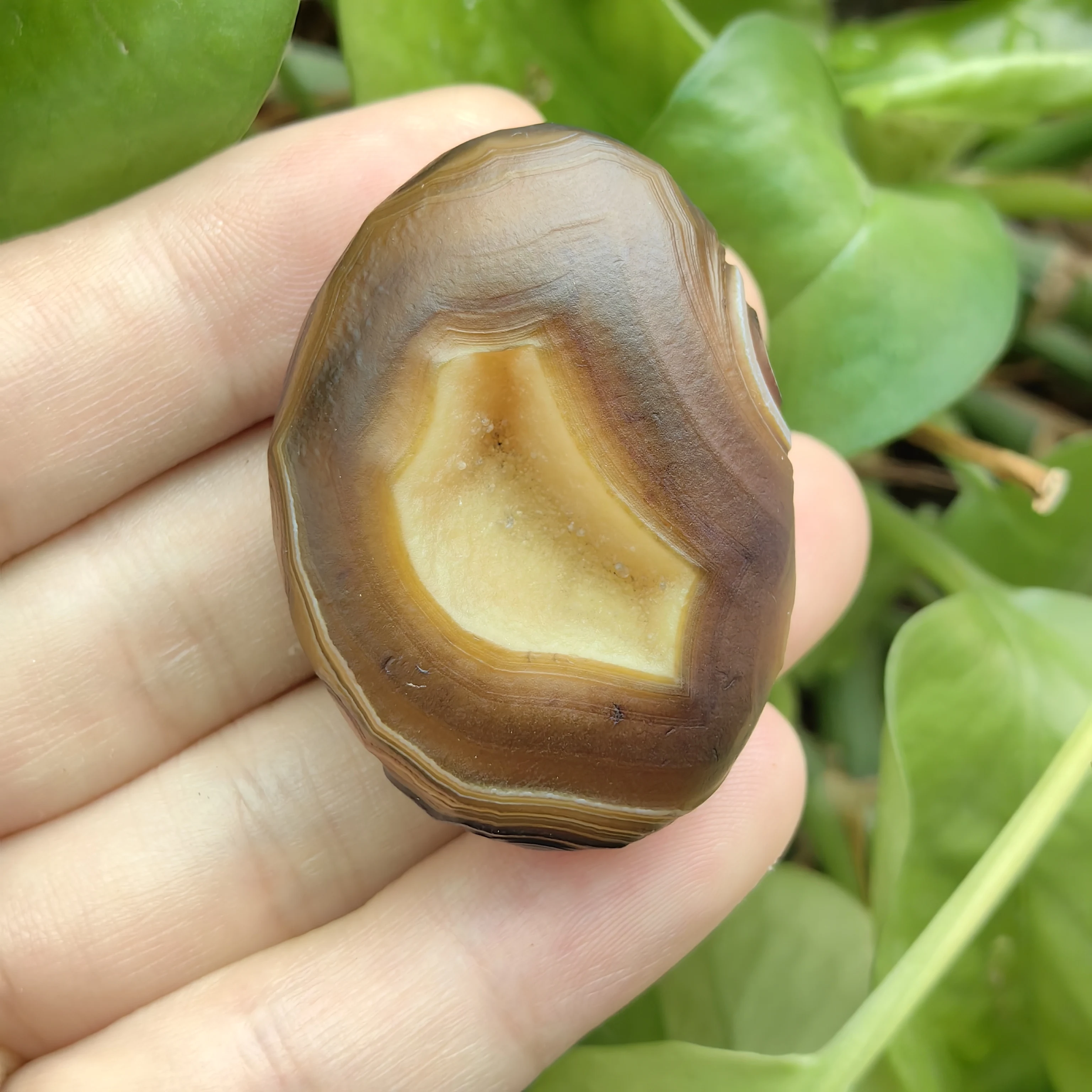 Rare Treasure Bowl Agate Egg, Distinctive Texture Eye and Crystal Cavity , Natural Geological Art Piece Quality Mineral ﻿