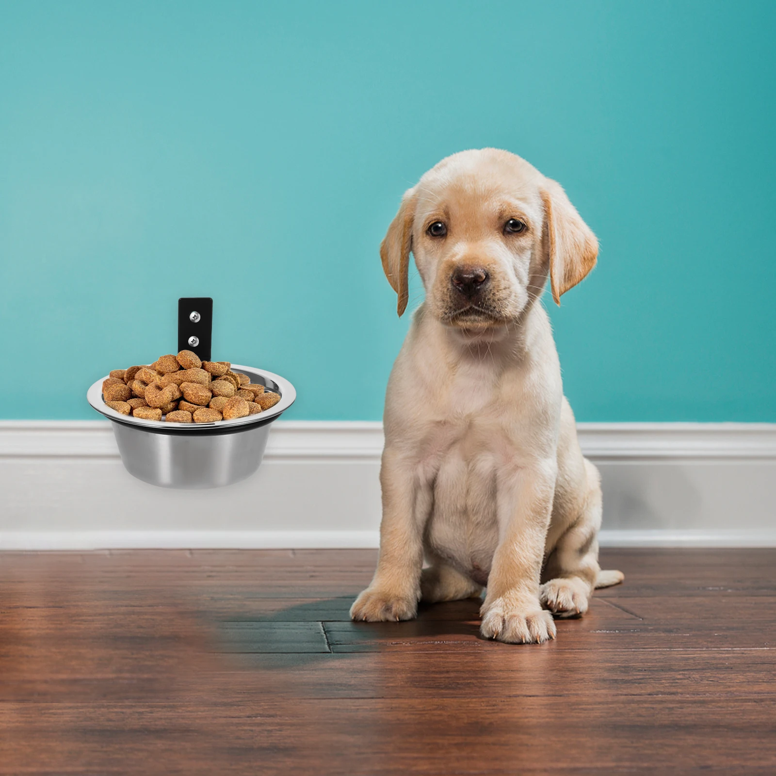 

Dog Food Wall Mounted Bowl Dishes Puppy Feeding Bowls for Large Dogs Water and Silver