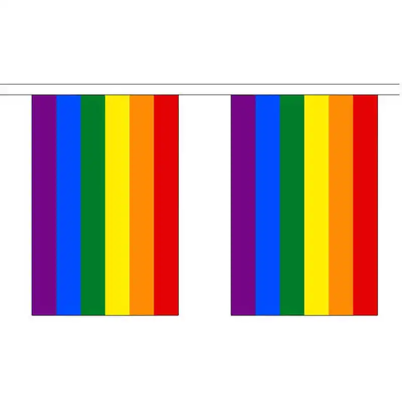 

String Rainbow Flag Gay Pride 14x21cm Polyester Printed Mini LGBT Bunting Flags Banners For Home Party Decoration Celebration