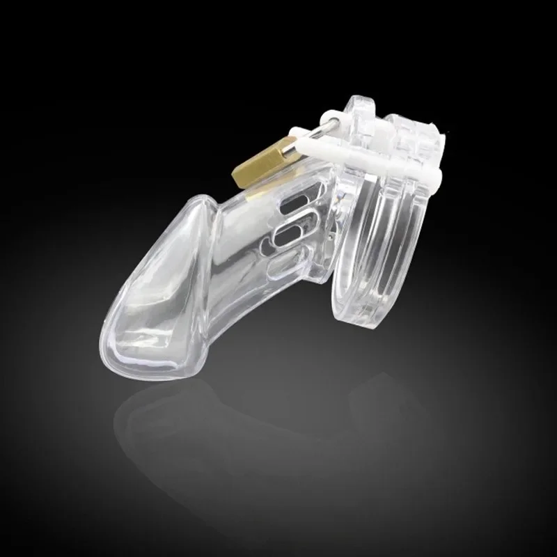 Small/Standard Male Chastity Device Cock Cage With 5 Size Rings Brass Lock Locking Number Tags Sex Toys for Men Couples Adults