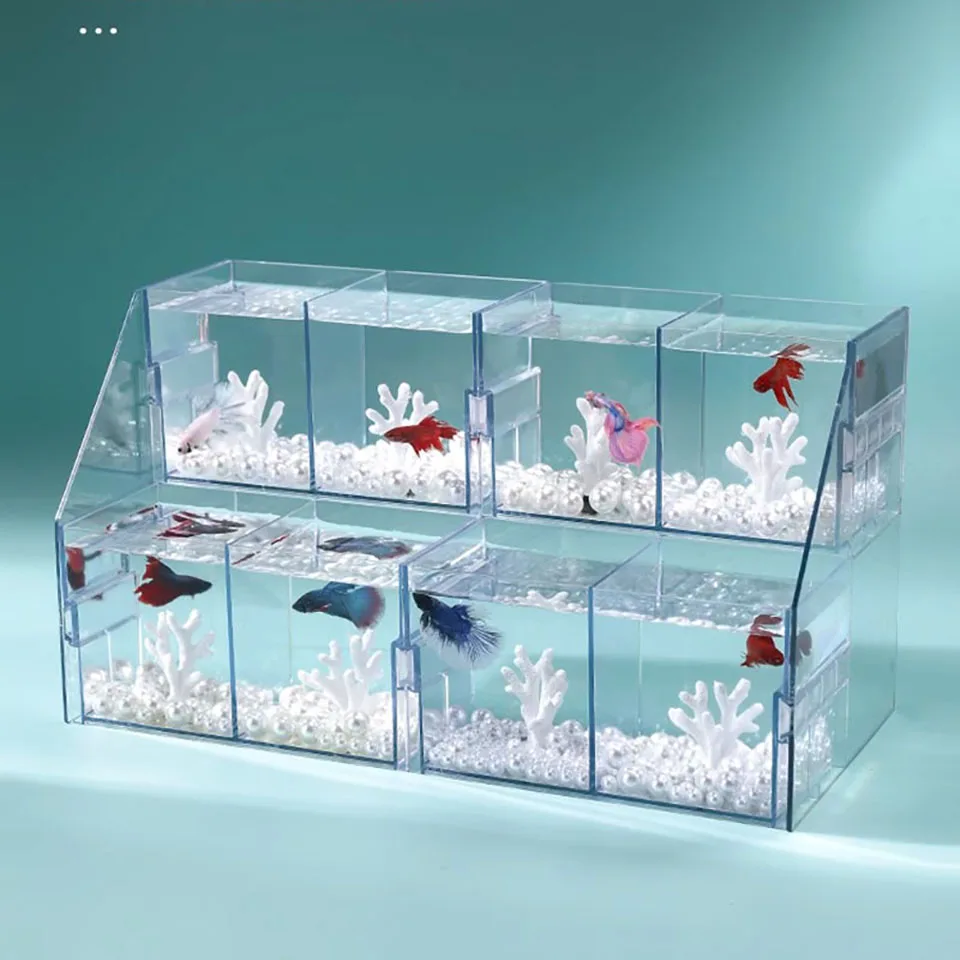 Acrylic Ornamental Fighting Fish Tank New Small Row Tank Transparent Desktop Aquarium Creative Multi-compartment DIY Aquariums - Image 3
