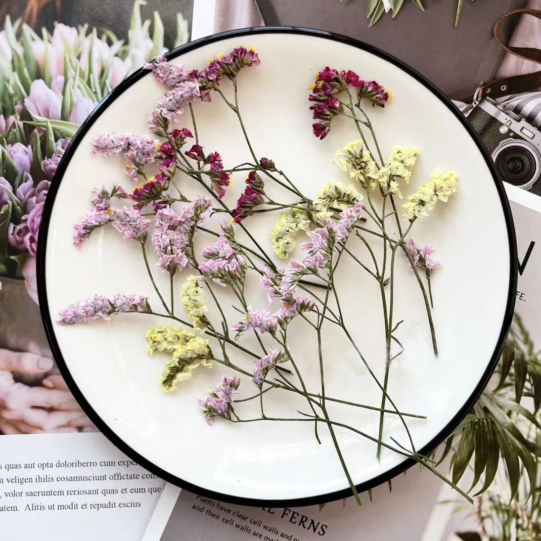 

60pcs Pressed Dried Statice Stalk Flower Plant Herbarium For Jewelry Postcard Invitation Card Phone Case Bookmark DIY