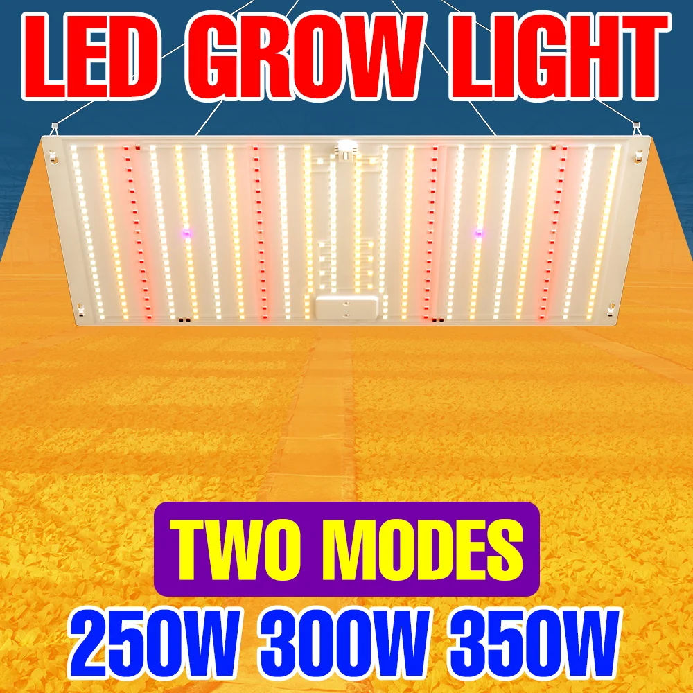 

350W LED Full Spectrum Grow Light Quantum Board Plant UV Lamp Indoor Greenhouse Tent Vegetables Fruit Cultivation Fill Lighting