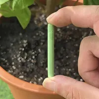 300/18pcs Green Plant Nutrition Sticks Nitrogen Phosphorus Potassium Compound Fertilizer for Vegetables Flowers Healthy Growth 2