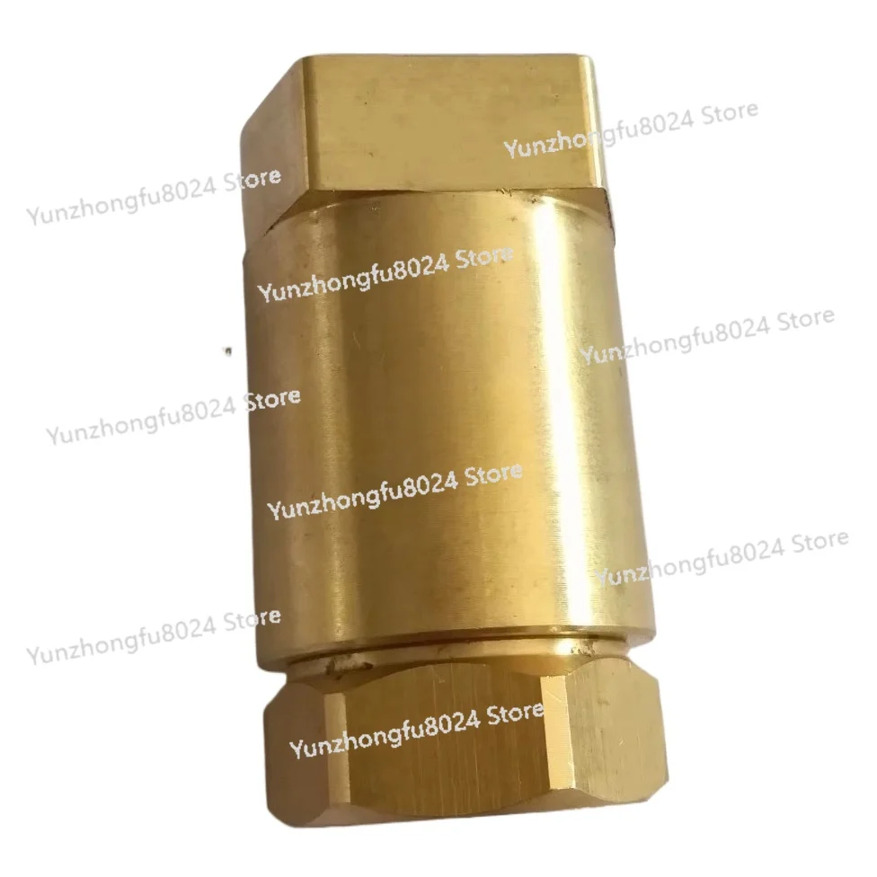 

39182548 Screw Air Compressor One-way Valve