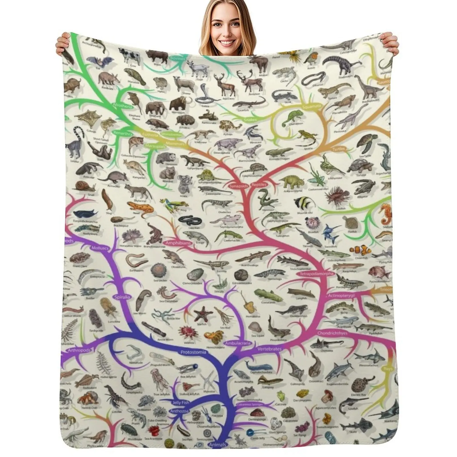 Animal Tree of Life Poster - Evolution - Colour (English Annotations) Throw Blanket Heavy For Baby Summer Blankets