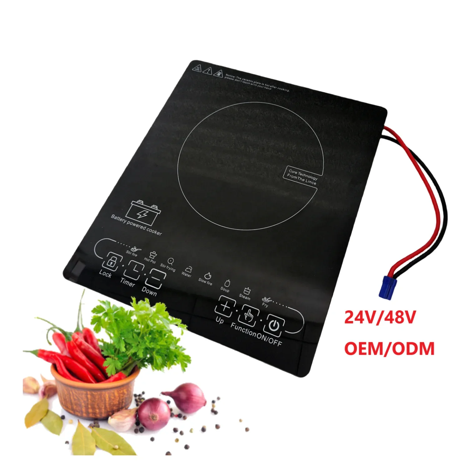 Best selling smart DC 12V/24V/48V battery induction cooker mini portable solar outdoor camping rice stove